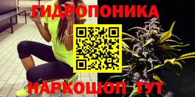 молекула духа Мариинск