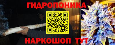 молекула духа Мариинск