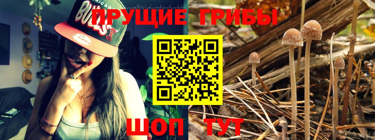Псилоцибиновые грибы MAGIC MUSHROOMS Россошь