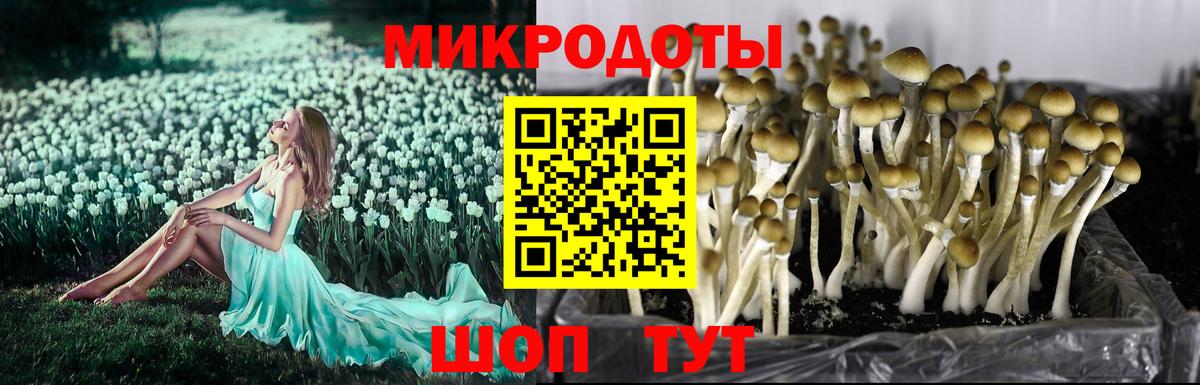 Псилоцибиновые грибы Cubensis  Вход с VPN  хочу наркоту  Россошь 
